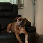Laura K. McCarter - @laura.k.mccarter - Instagram