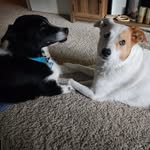 Laura McCauley McCarter - @mccauleymccarter - Instagram