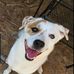 Laura McCauley McCarter - Facebook