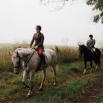 Laura McClung Adams - @lmcclung - Instagram