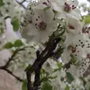 laura.mccook22 - @laura.mccook22 - TikTok
