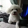 Laura McKellar - @lauramckellar02 - TikTok