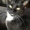 lauramckellar93 - @lauramckellar93 - TikTok
