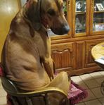 Laura McShane - Facebook