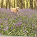 Laura Mead - Facebook