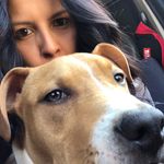 Laura Melfi - @laura_melfi_ - Instagram