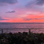 Laura - @laura_micheals4 - Instagram