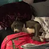 lauramixon382 - @lauramixon382 - TikTok