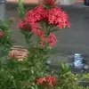 LauraMonte_2 - @lauramonte_2 - TikTok