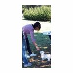 laura morelli - @_laura_morelli - Instagram