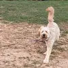 Laura - @laura.morfin.123 - TikTok