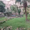 Laura Morosini803 - @lauramorosini78 - TikTok
