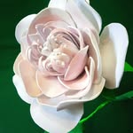 Laura Mosca - @flowers_fashion_torino - Instagram