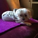 Lauralilyroses - @laura.mudd - Instagram