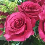 Laura Muldoon - @lkr.5 - Instagram