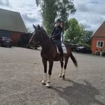 Laura Munk Bleeg - @laura_munk_bleeg - Instagram
