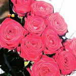 @laura.12.murad - Instagram