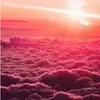 Laura Mutz - @lmutz - TikTok