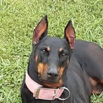 Laura Nabors Collins - @laura.nabors.9 - Instagram