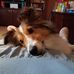 Laura Neff - Facebook