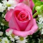 Laura Negro - @lauranegro481 - Instagram
