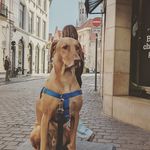 laura nelms - @moondust757 - Instagram