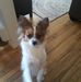 Laura Neuner - Facebook
