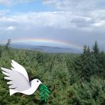 Laura Nicolson - Facebook