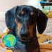 Laura Oldenburg - Facebook