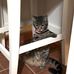 Stefano Laura Olivieri Stefano - Facebook