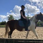 Laura Olstad Martinsen - @laura_ponyerne_livet - Instagram