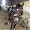 Laura - @lauraoneill74 - TikTok