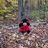 Laura Oram - @lauraoram161 - TikTok