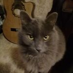 Orosco_laura - @lauraorosco2003 - Instagram