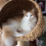 Laura Padden - @paddenlaura - Instagram