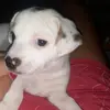 n - @laura.palumbo78 - TikTok