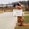 Laura Paulus - @ljp6691 - TikTok