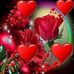 Laura Pech - Facebook