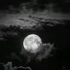 laurapedro - @laurapedro974 - TikTok