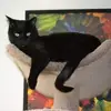 laurapegler98 - @laurapegler98 - TikTok