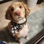 Laura Peltier - @beaner2613 - Instagram