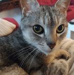 Laura Peral - Facebook