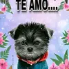 Laura Peralez146 - @lauraperalez522 - TikTok