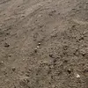 Laura Peres - @lauraala08 - TikTok