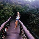 Laura Peres - @lauraperesofc_ - Instagram