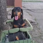 Laura Perrone - @laura.perrone.798 - Instagram