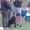 LauraPerruna12 - @lauraperro12 - TikTok