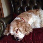 Laura Peterman - @boulder1961 - Instagram