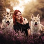 Laura Petermans | Pet Photographer - Belgium - @laurapetermansphotography - Instagram