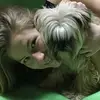 Laura petersen  - @laura.petersen - TikTok